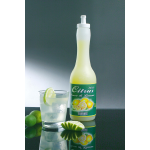 Bagnoli Succo Limone PET cl.100