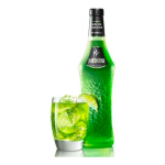 Midori cl.100