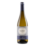Vino Illuminati Pecorino 2023 cl.75